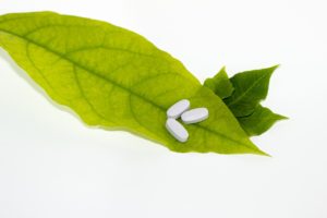 veterinary nutraceuticals and veterinary supplements